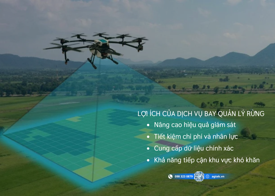 Lợi ích của dịch vụ bay quản lý rừng