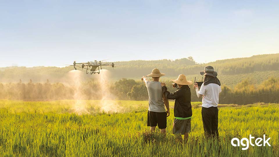 Slide airdrone bón phân