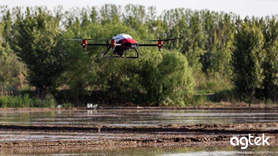 Slide airdrone gieo hạt