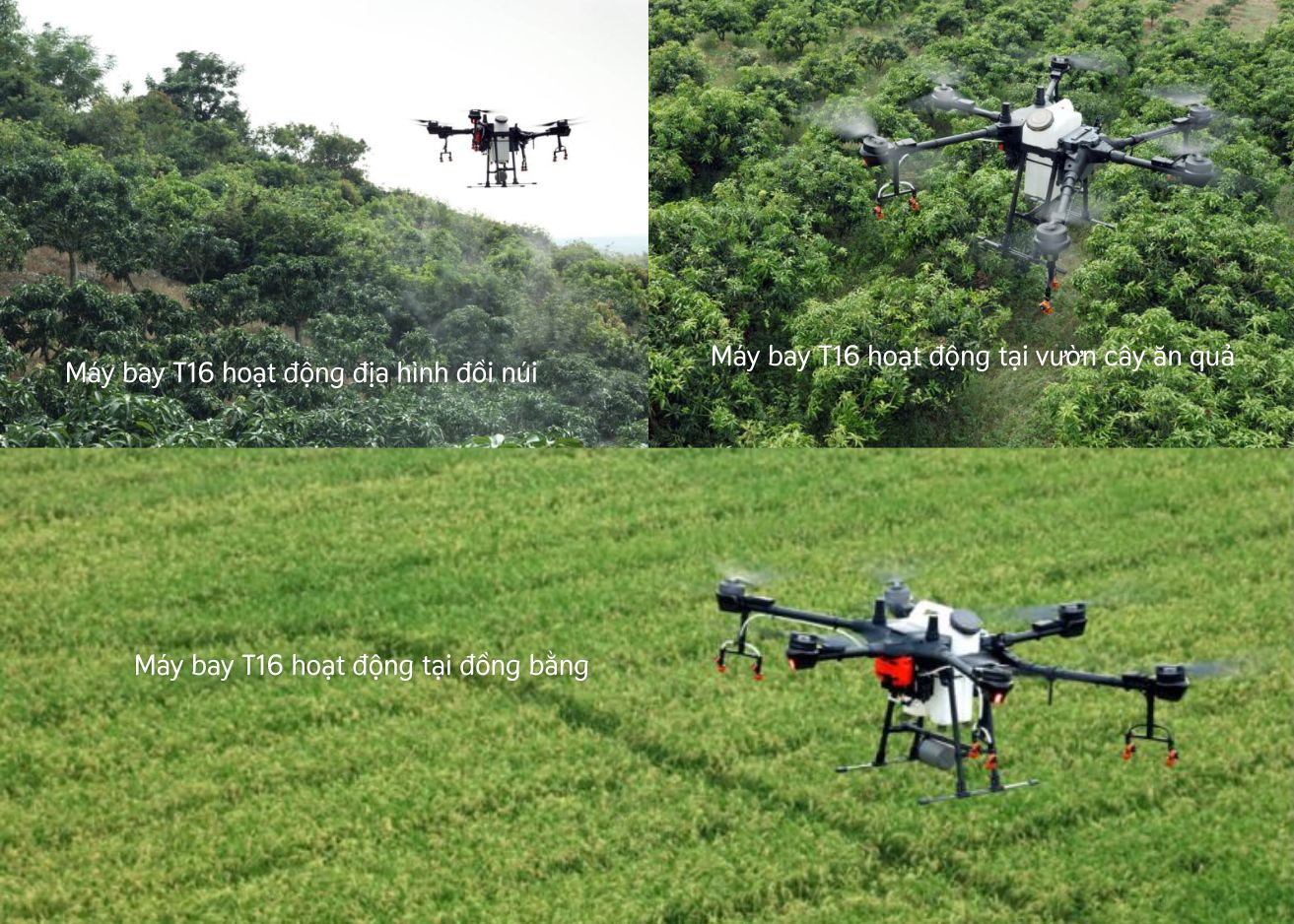 Máy bay T16 hoạt động hiệu quả trên nhiều địa hình