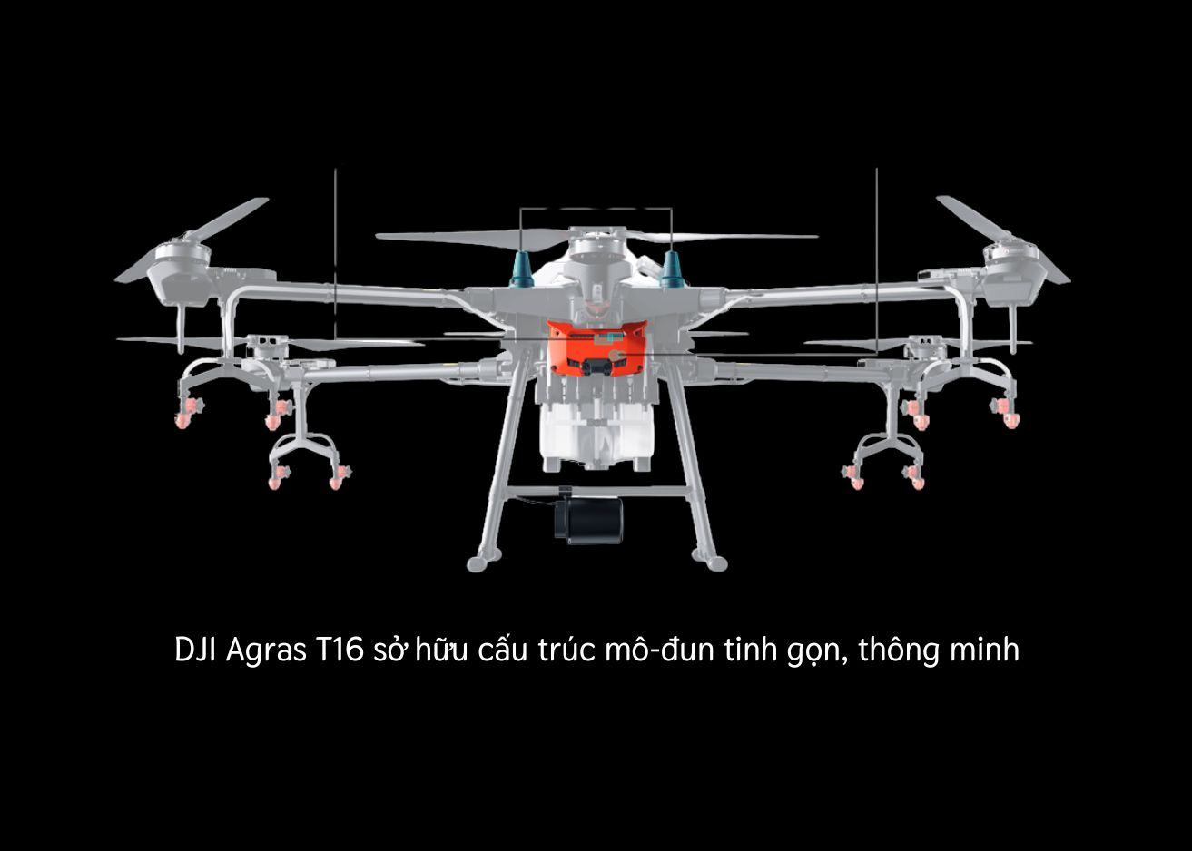 Máy bay T16 sở hữu cấu trúc thông minh