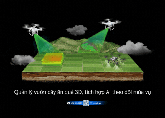 Quản lý vườn cây ăn quả 3D, tích hợp AI theo dõi mùa vụ