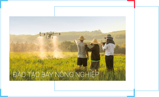 Dịch vụ đào tạo lái máy bay nông nghiệp