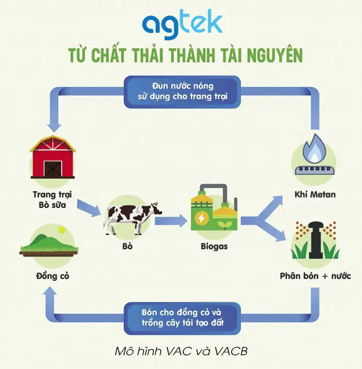 Mô hình VAC và VACB