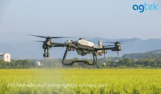 Mô hình sản xuất nông nghiệp có hiệu quả