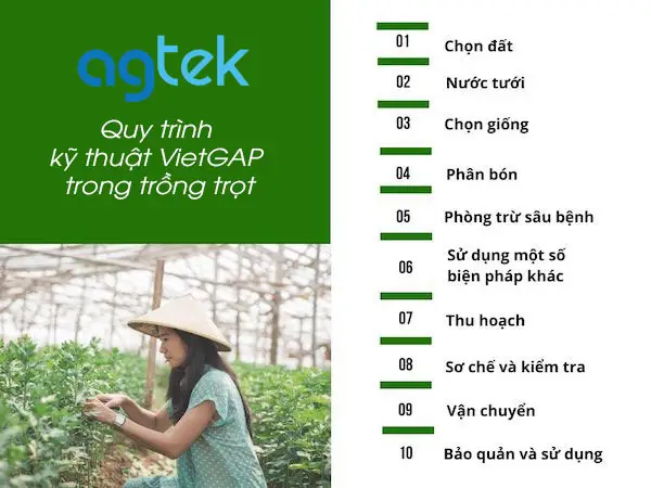 Quy trình kỹ thuật VietGAP trong trồng trọt