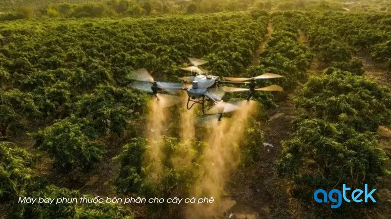 Máy bay phun thuốc bón phân cho cây cà phê