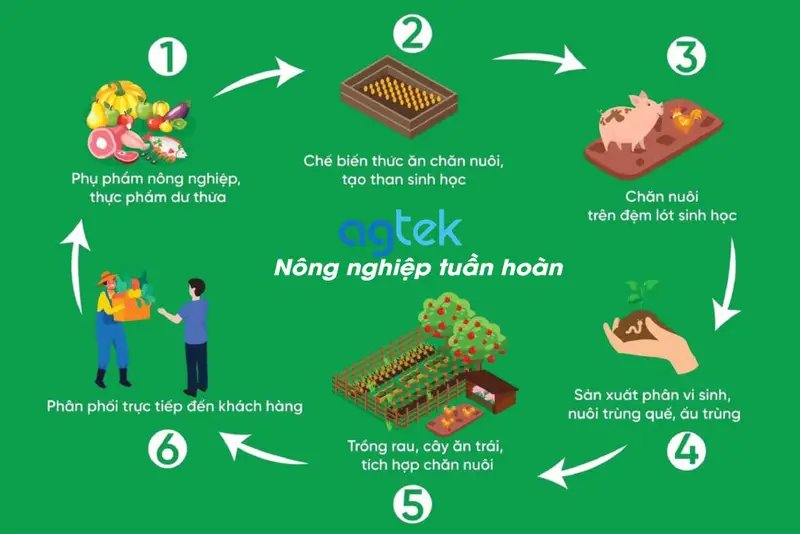 Nông nghiệp tuần hoàn
