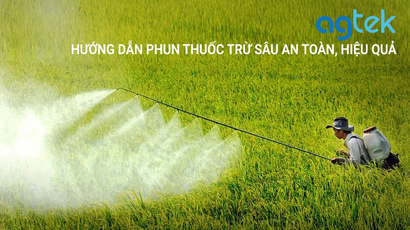 phun thuốc trừ sâu
