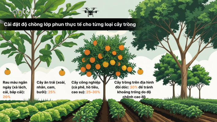 Cài đặt độ chồng lớp phun thực tế cho từng loại cây trồng, Rau màu ngắn ngày (xà lách, cải, bắp cải), Cây ăn quả (xoài, cam, nhãn, bưởi), Cây công nghiệp (cà phê, hồ tiêu, cao su), Cây trên địa hình đồi dốc