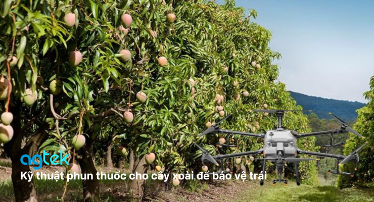 ứng dụng máy bay không người lái (drone) phun thuốc BVTV cho cây xoài