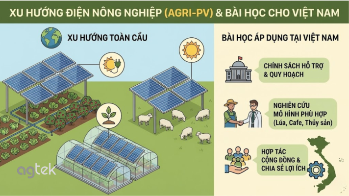 Xu hướng điện nông nghiệp (Agri-PV) và bài học cho Việt Nam