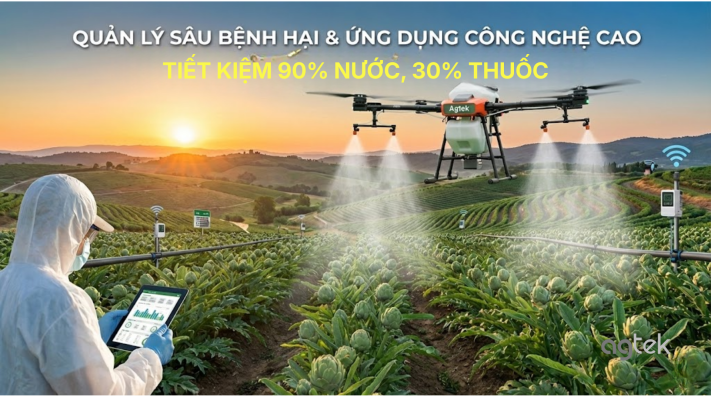 Kỹ thuật trồng actisô GACP-WHO QUẢN LÝ SÂU BỆNH HẠI TRÊN ACTISO (1)