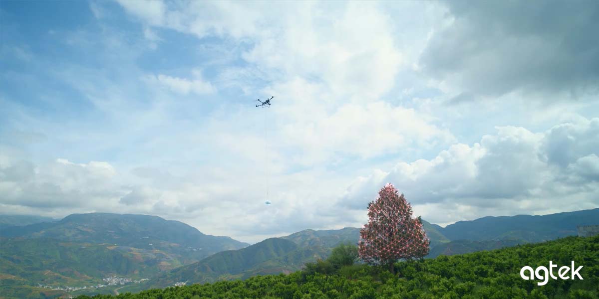 DJI T55 - vận chuyển